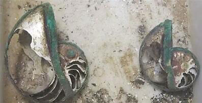 从南海到江苏邳州 西晋墓鹦鹉螺杯暗藏千年密