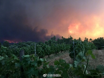 葡萄牙中部地区爆发史上最严重森林火灾 至少39人死亡