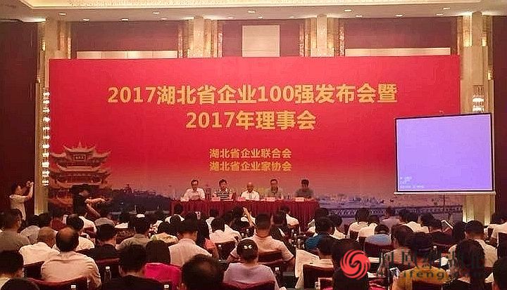 2017年湖北省企业100强发布 民营企业指标上
