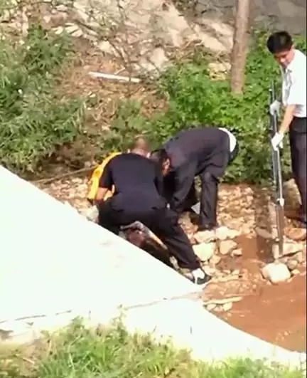 章丘一泄洪沟现年轻女尸 系因情感纠纷被杀