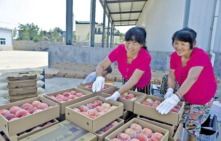 铜川gdp增速_铜川新区图片(2)
