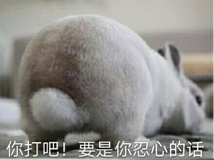 fun来了:剩饭会被护士打屁屁哦|鱼都跳船自杀了 fun来了:剩饭会被护士打屁屁哦|鱼都跳船自杀了图片