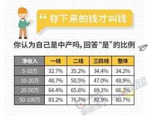 收入证明_广东中产收入标准(2)