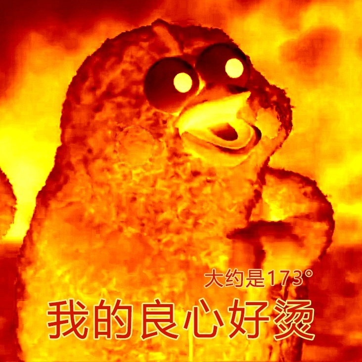 fun来了:剩饭会被护士打屁屁哦|鱼都跳船自杀了 fun来了:剩饭会被护士打屁屁哦|鱼都跳船自杀了图片