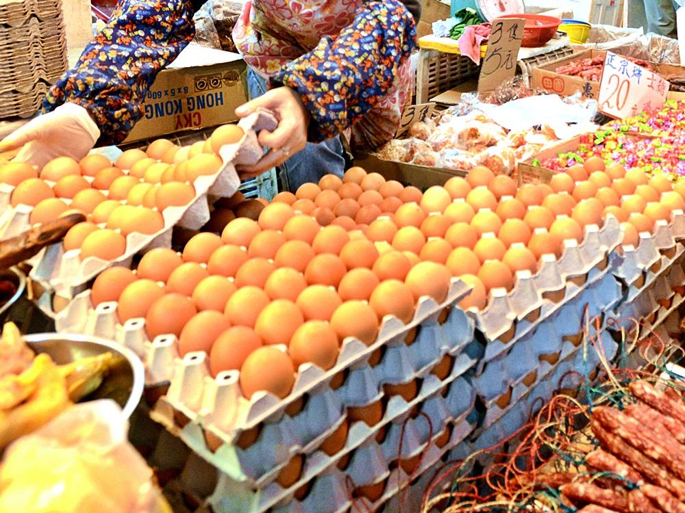 香港食物安全中心：涉事荷兰受污染鸡蛋全部下架