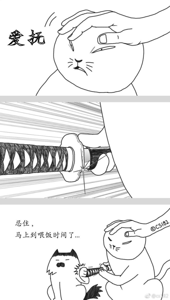 fun来了:剩饭会被护士打屁屁哦|鱼都跳船自杀了 fun来了:剩饭会被护士打屁屁哦|鱼都跳船自杀了图片