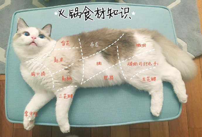 fun来了:四川人天性乐观 地震也别想让我屈服 fun来了:四川人天性乐观 地震也别想让我屈服图片