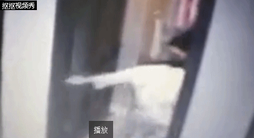 美女被xx邪恶动态图