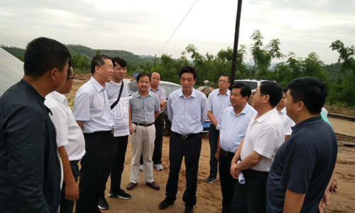 榆林市委书记戴征社在佳县调研光伏扶贫和红枣产业发展情况
