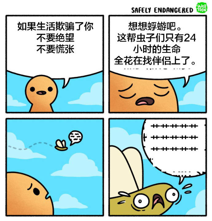 fun来了:人家都恋爱结婚离婚复婚了 你还是单身 fun来了:人家都恋爱结婚离婚复婚了 你还是单身图片