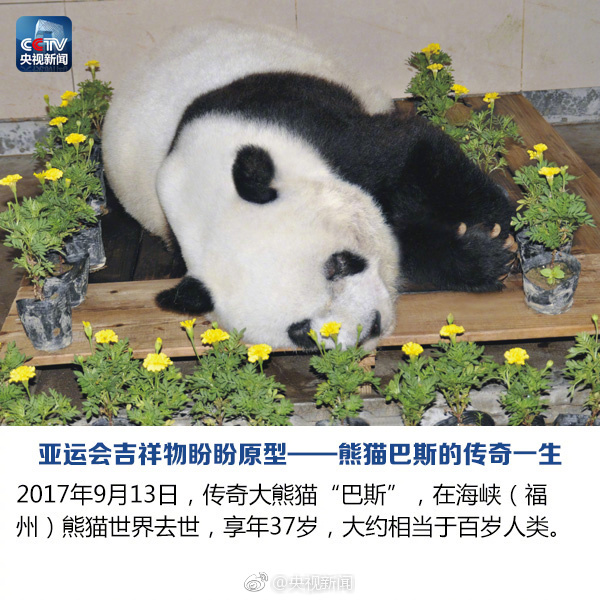 fun来了:请讨厌的人跟我保持距离 最好阴阳两隔 fun来了:请讨厌的人跟我保持距离 最好阴阳两隔图片