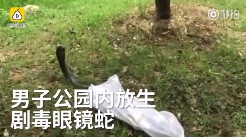 fun来了:女生别买iPhoneX 想玩手机还得现补妆 fun来了:女生别买iPhoneX 想玩手机还得现补妆图片
