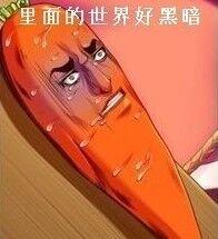 fun来了:每天吃这么多你真的想瘦吗?很享受啊 fun来了:每天吃这么多你真的想瘦吗?很享受啊图片