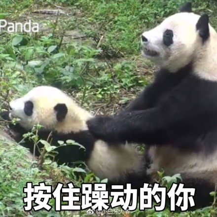 fun来了:逃犯高唱不要怕压惊 被警察一波带走 fun来了:逃犯高唱不要怕压惊 被警察一波带走图片