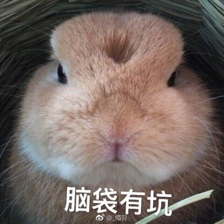 fun来了:为了赚回份子钱 单身狗给自己办30大寿 fun来了:为了赚回份子钱 单身狗给自己办30大寿图片