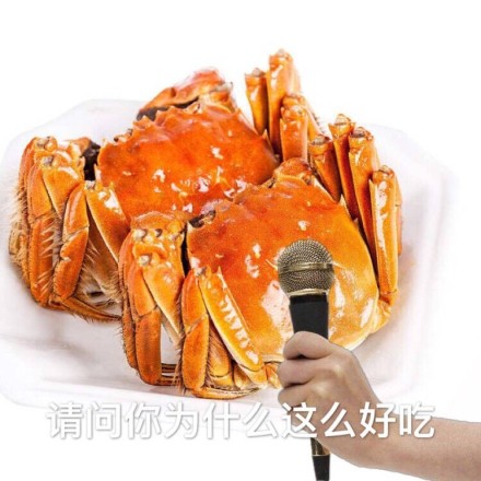 fun来了:逃犯高唱不要怕压惊 被警察一波带走 fun来了:逃犯高唱不要怕压惊 被警察一波带走图片