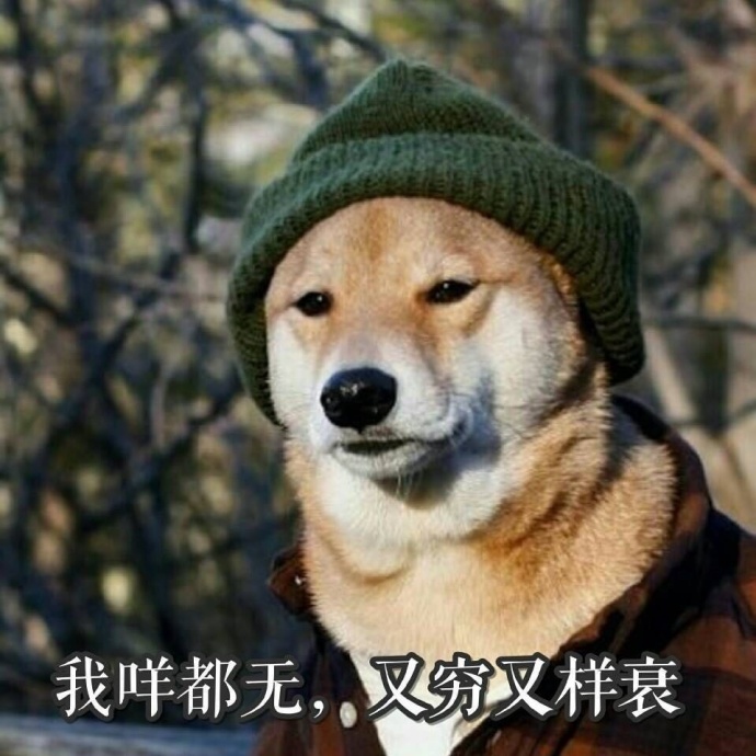 fun来了:当代青年就像蒲公英 风一吹头发就没了 fun来了:当代青年就像蒲公英 风一吹头发就没了图片