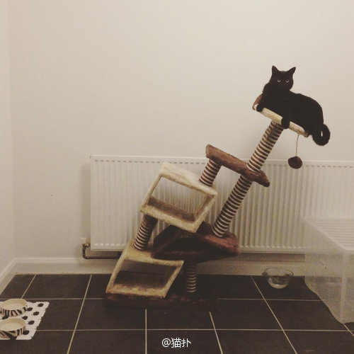 fun来了:觉得丧就去赚钱 因为相由薪生薪满意足 fun来了:觉得丧就去赚钱 因为相由薪生薪满意足图片