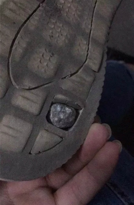 fun来了:当代青年就像蒲公英 风一吹头发就没了 fun来了:当代青年就像蒲公英 风一吹头发就没了图片