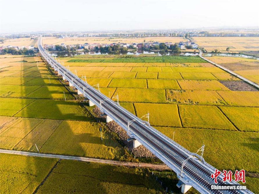 航拍即将通车的九景衢铁路穿越金黄田野