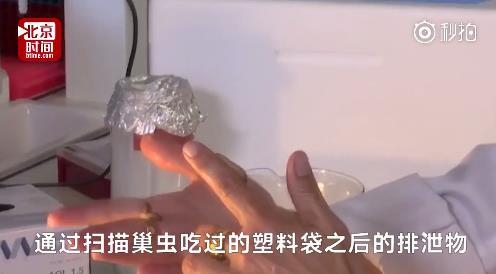 fun来了:武林不准私建门派?我金拱门第一个不服 fun来了:武林不准私建门派?我金拱门第一个不服图片