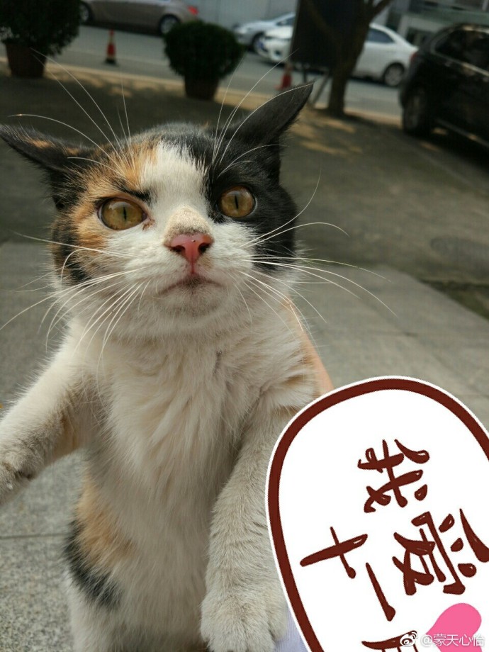 fun来了:吃得苦中苦还是普通人|她死于商业互吹 fun来了:吃得苦中苦还是普通人|她死于商业互吹图片