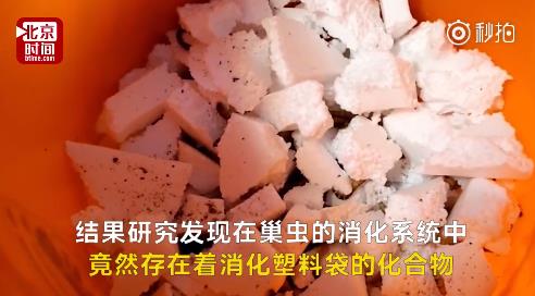 fun来了:武林不准私建门派?我金拱门第一个不服 fun来了:武林不准私建门派?我金拱门第一个不服图片