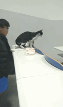 fun来了:火锅才是最养生的食物|让座引发的血案 fun来了:火锅才是最养生的食物|让座引发的血案图片