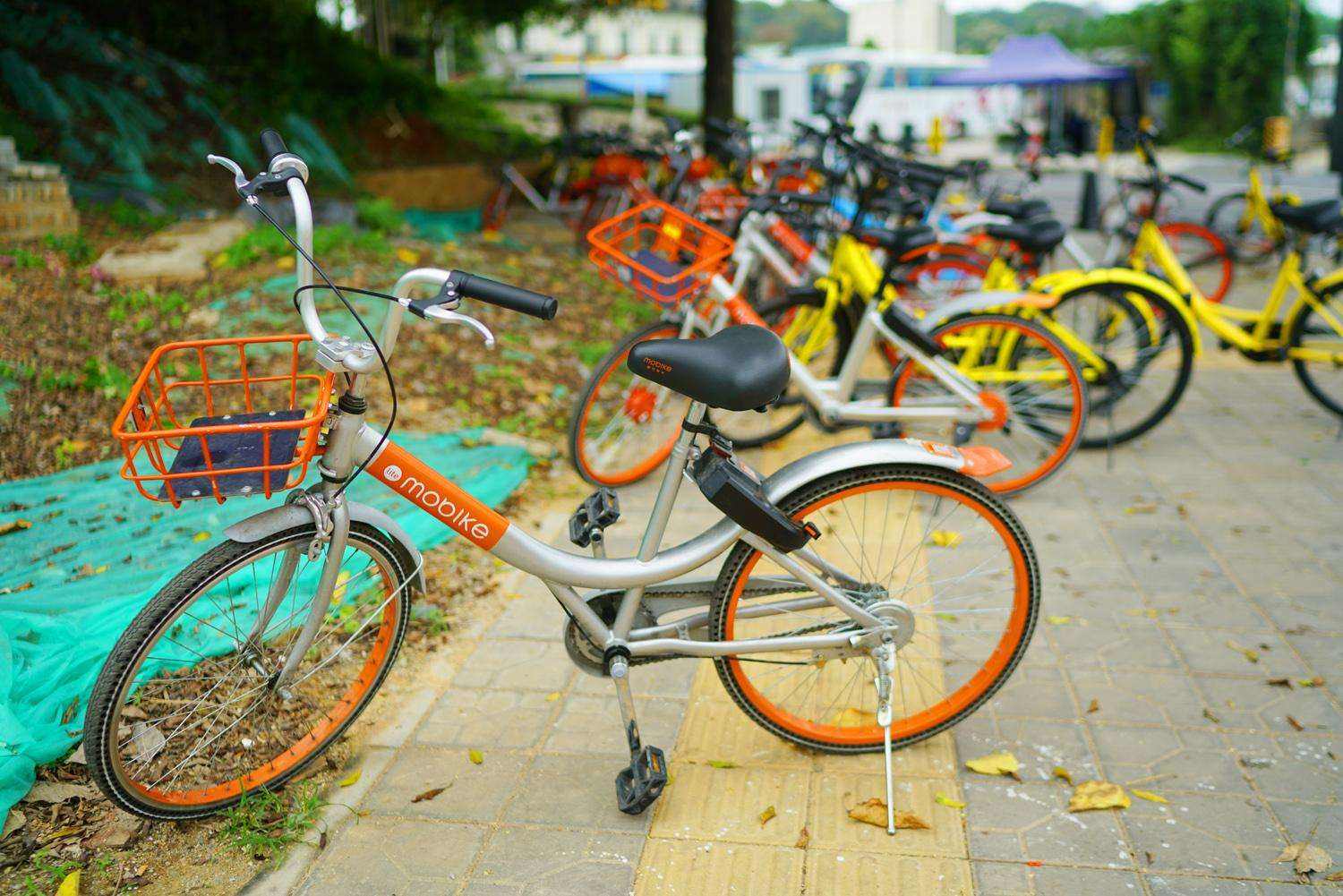 北京共享单车投放合规率已达98%_手机新浪网