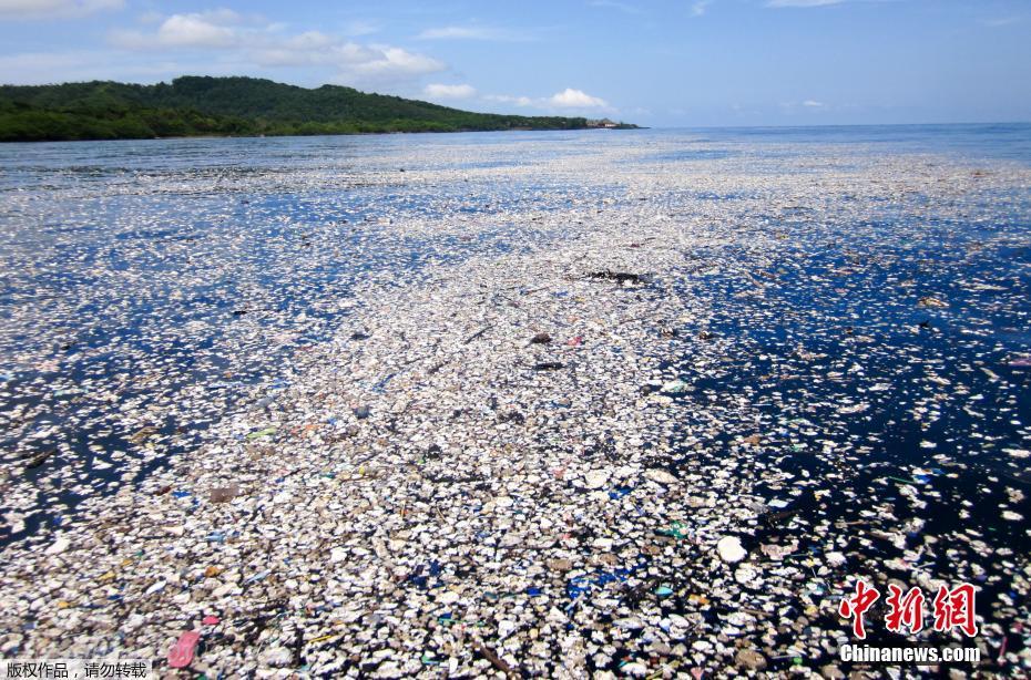 加勒比海岛现“塑料海洋” 潜水胜地成垃圾场触目惊心