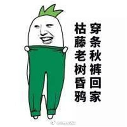 fun来了:有钱人也买不起外卖|狗啃你尸体是爱你 fun来了:有钱人也买不起外卖|狗啃你尸体是爱你图片