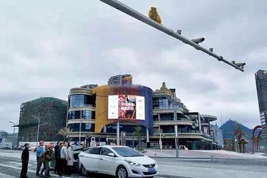文章配图