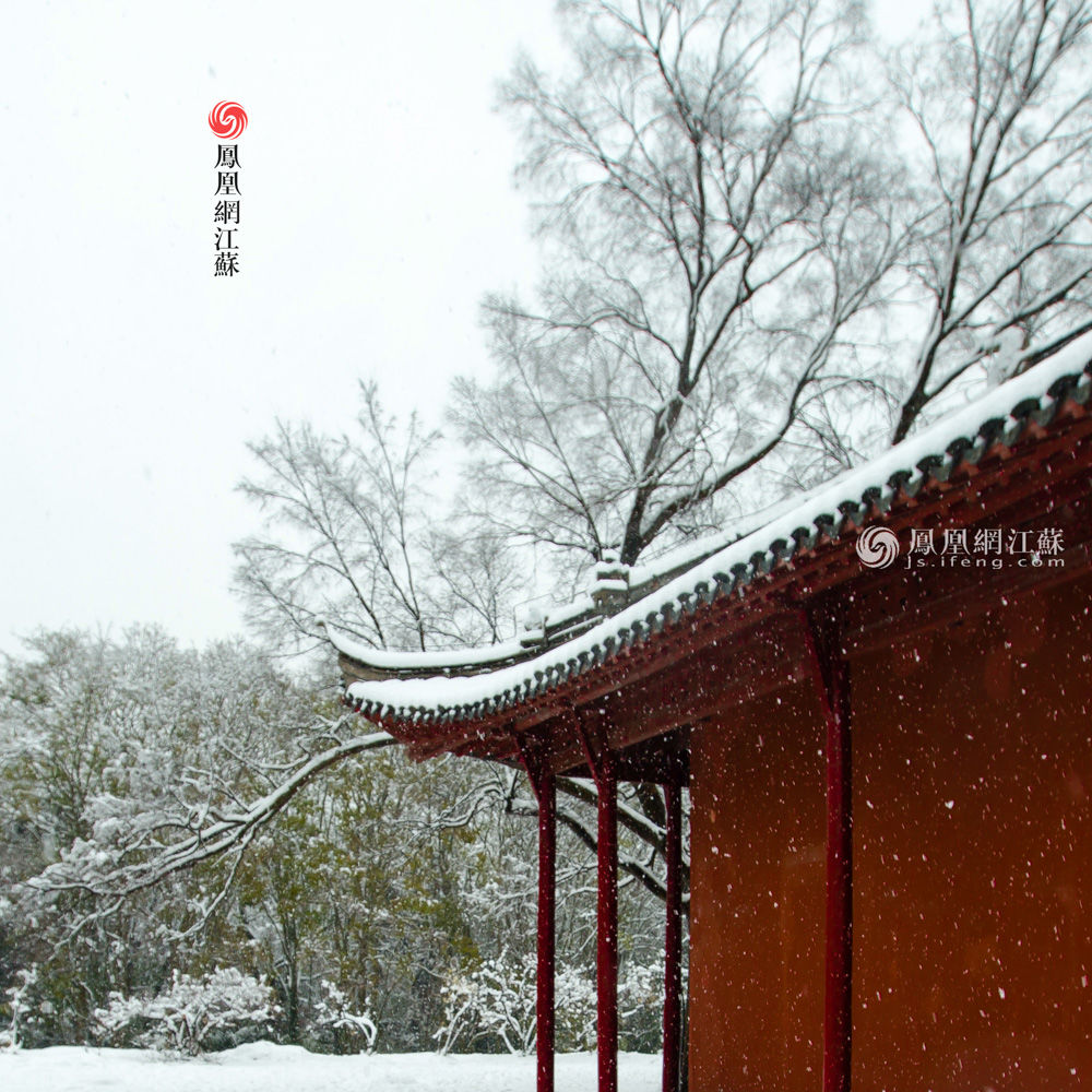 正文  4/19 一场雪,赠给南京一组古风国画 1月4日,古城南京大雪纷飞