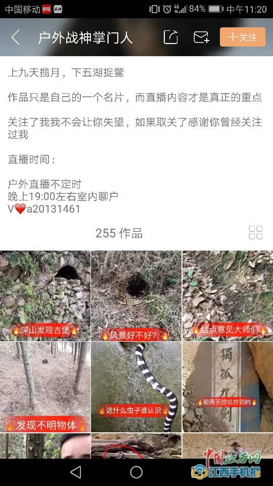 九江男子直播猎杀野生动物 已被刑拘