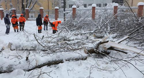 莫斯科百年一遇降雪1死多伤 200多个航班延误