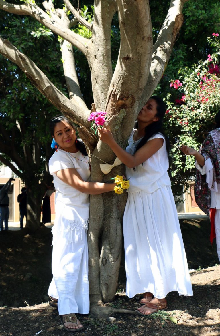 为了地球 墨西哥女孩们纷纷嫁给大树