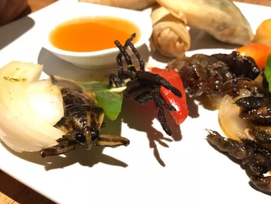 蚂蚁春卷和蝎子沙拉 这些让人“又爱又怕”的美食你选哪个