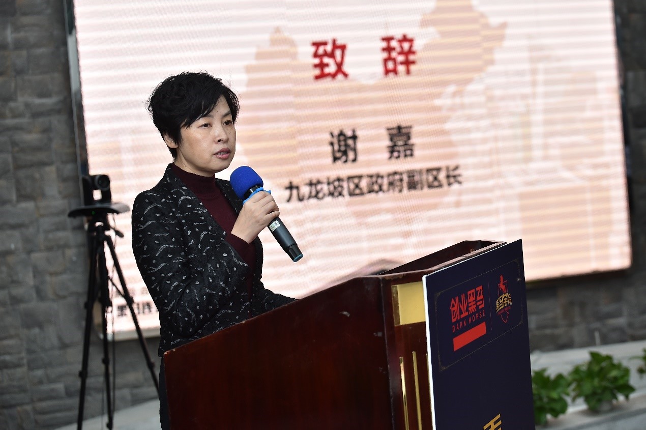 (重庆市九龙坡区副区长谢嘉)