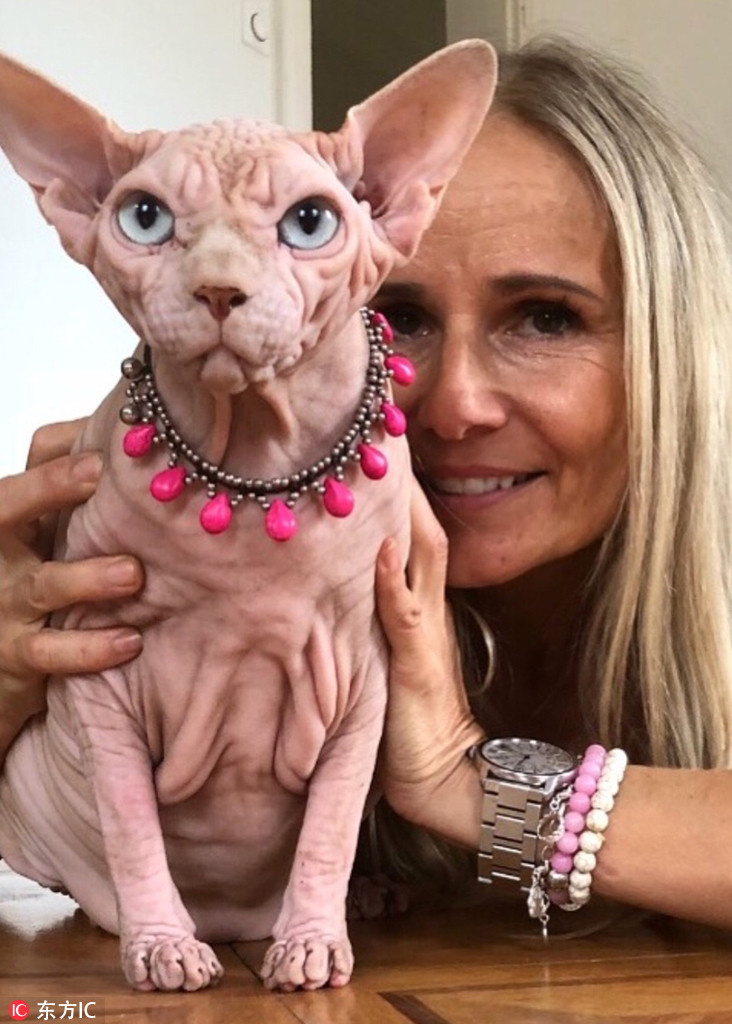 瑞士无毛猫爆红网络疑似外星人宠物