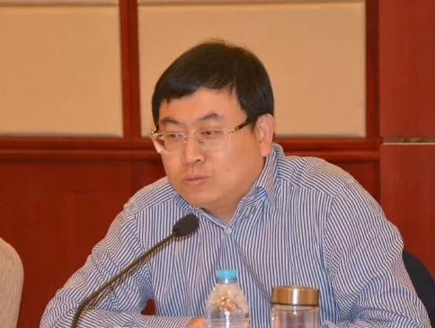 湖南省政府驻上海办事处主任王华平被审查调查