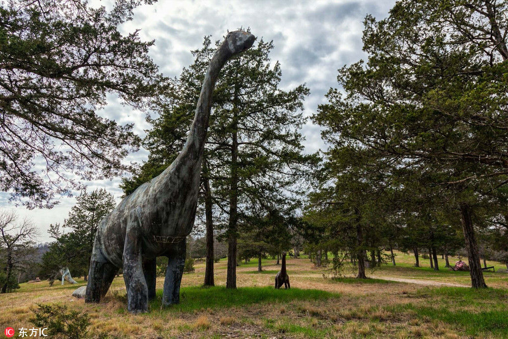 美国荒野惊现大量巨型恐龙?真相令人唏嘘