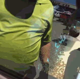 老司机载着一车失控的蜜蜂行驶64公里