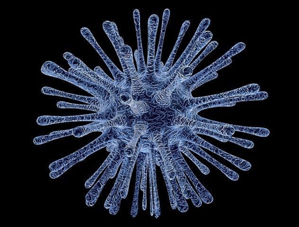 下一个HIV！超级淋病全球蔓延：太恐怖