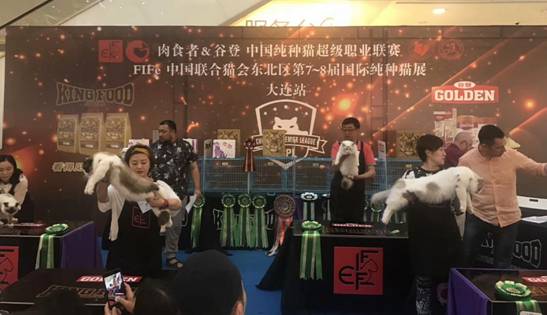 谷登&肉食者中国纯种猫超级职业联赛大连