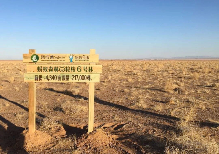 我国gdp增长图_2018我国gdp占世界(2)