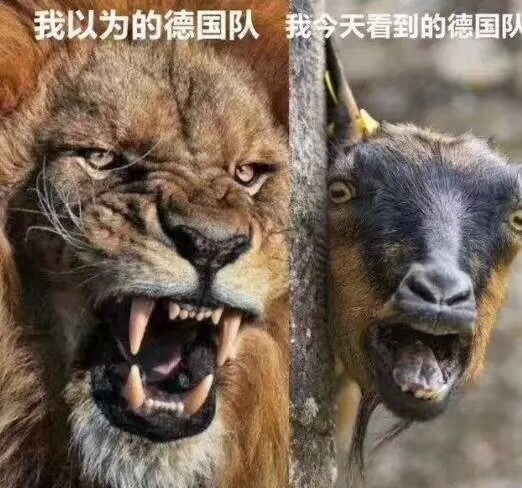 [FUN来了]韩国队干掉了德国队 中国队成足坛老