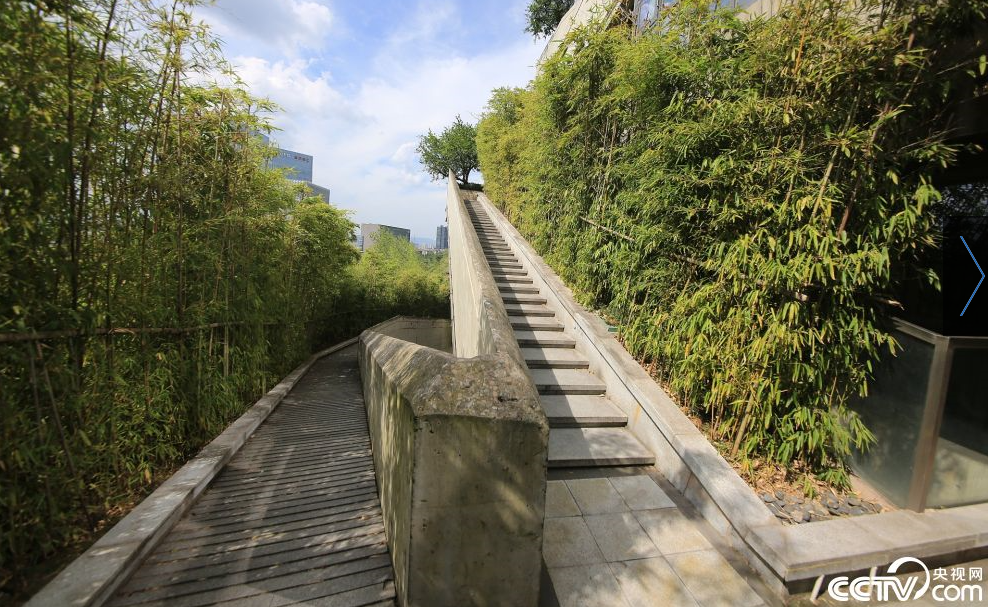 水泥森林中的空中花园 重庆建筑再走红