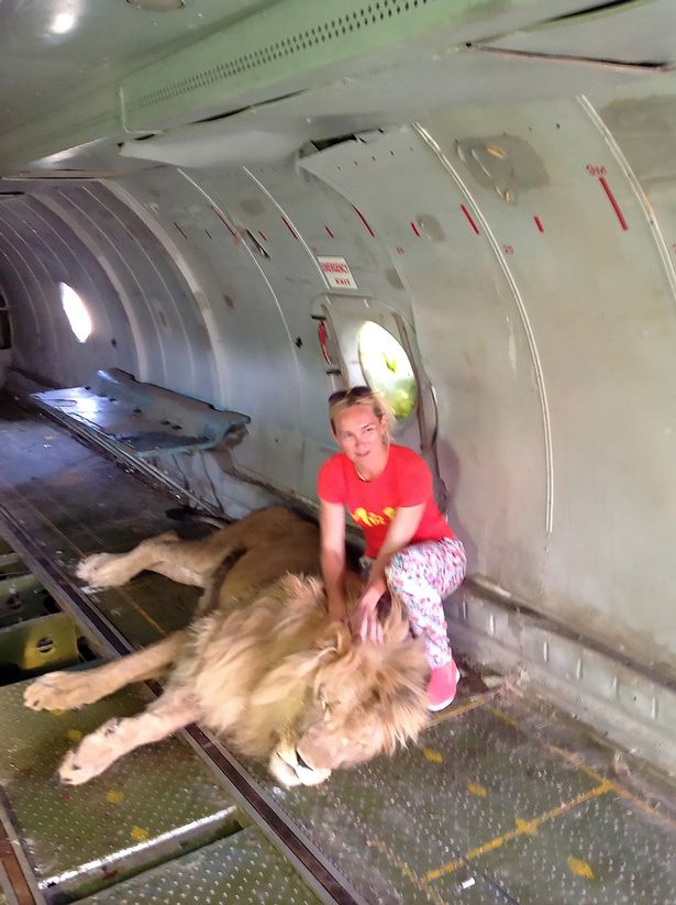 女子与狮子合影被咬成重伤 动物园拒赔偿