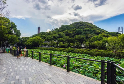 莲花人口_莲花县的人口民族(2)