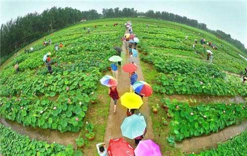 江苏空气质量排名发布盱眙成淮安最佳“吸氧地”